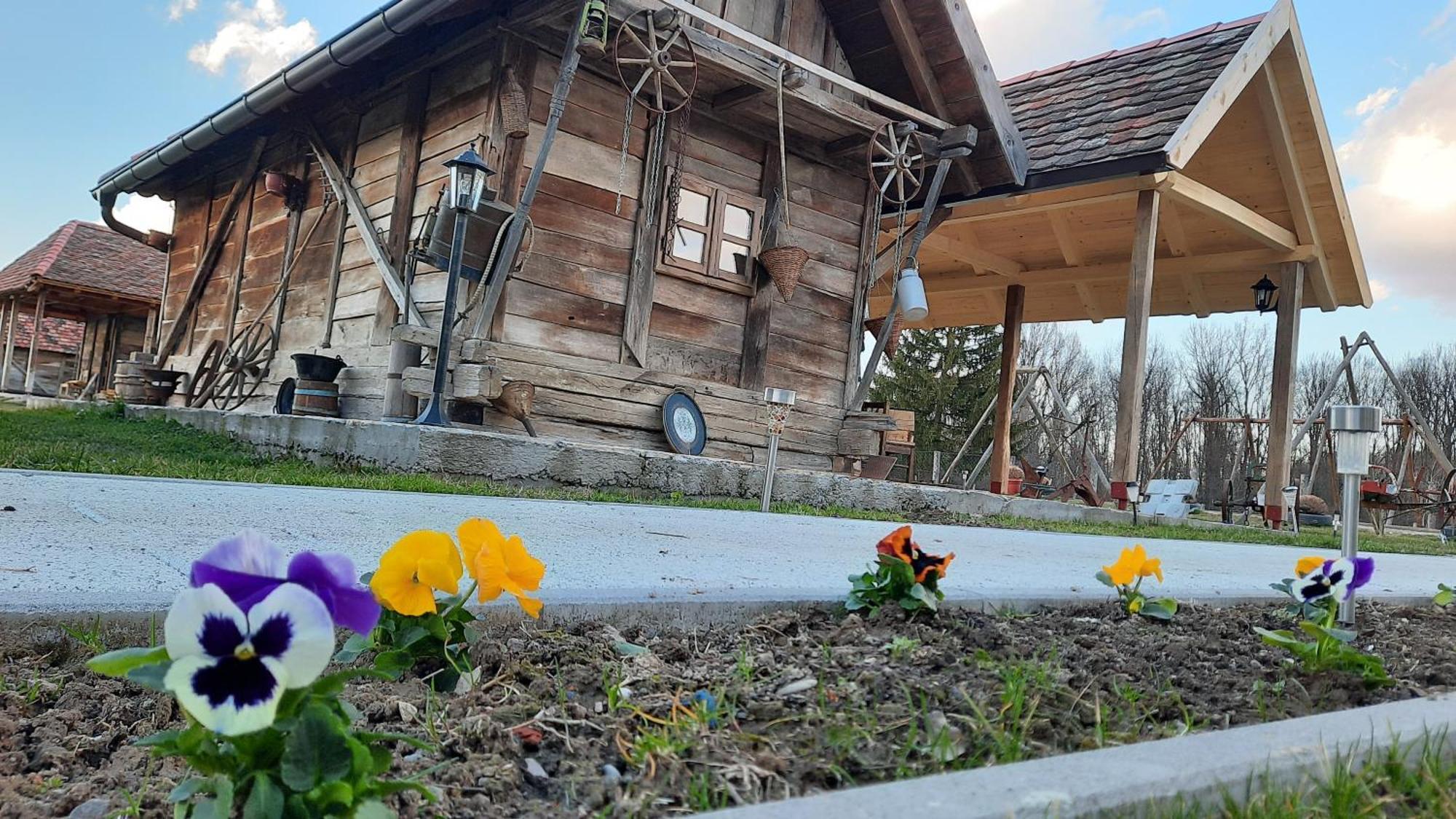 Etno Selo Eden Hotel Zeravacki Potok Bilik gambar